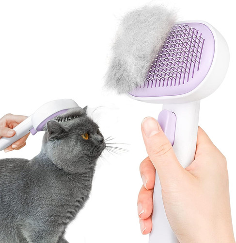Cat and dog grooming - cat,