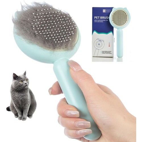 Cat brush dog brushes - cat,