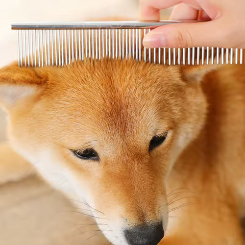 Stainless steel pet - stainless, comb
