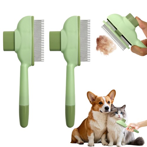 Cat hair brush - hair,