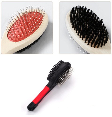 New pet grooming - pet,