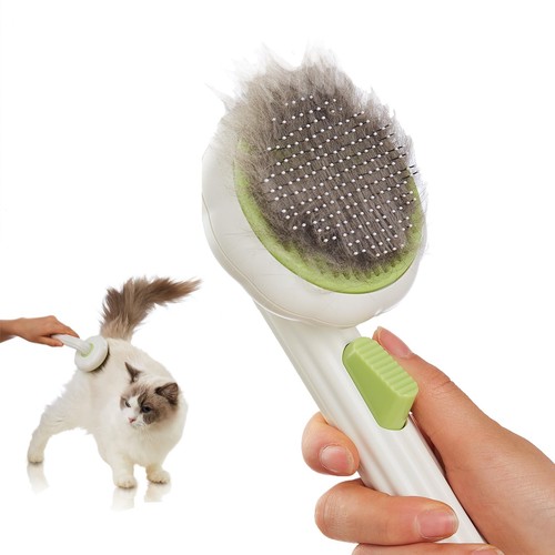Cat brush for - for, indoor