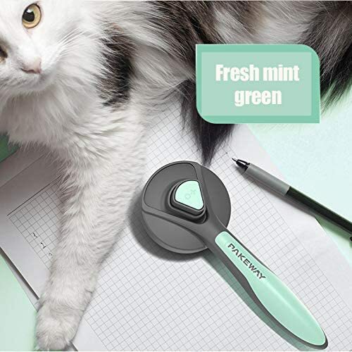 Self cleaning pet dog cat - self,