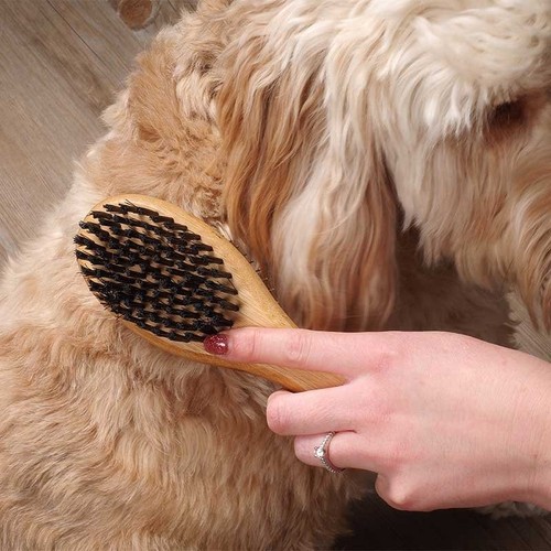 Pet grooming brush double - brush,
