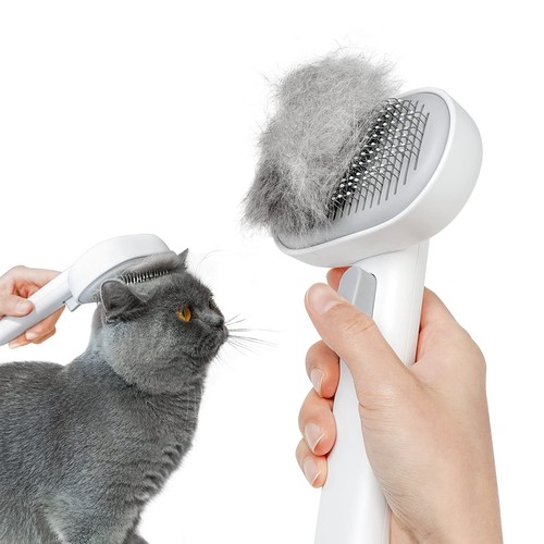 Cat brush shedding indoor - cat,