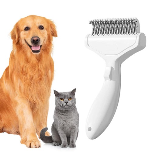 Professional pet grooming - pet,