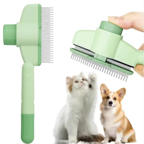 Cat hair brush - cat,