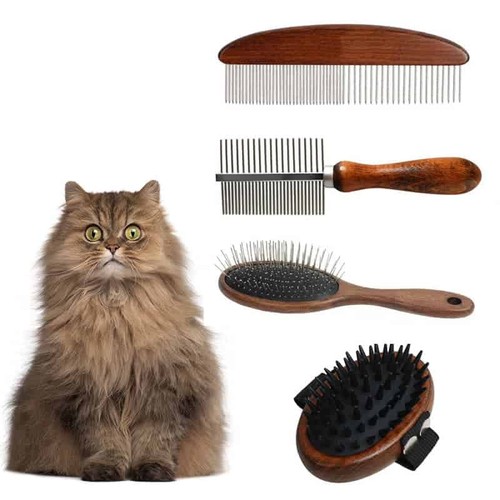 4pc cat grooming kit brush - cat,
