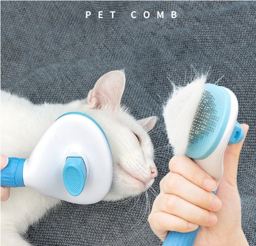 Pet dog cat - &,