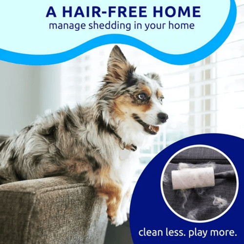 Double sided cat brush - double-sided, for