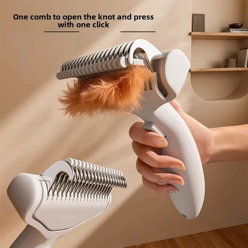Professional pet grooming - pet,