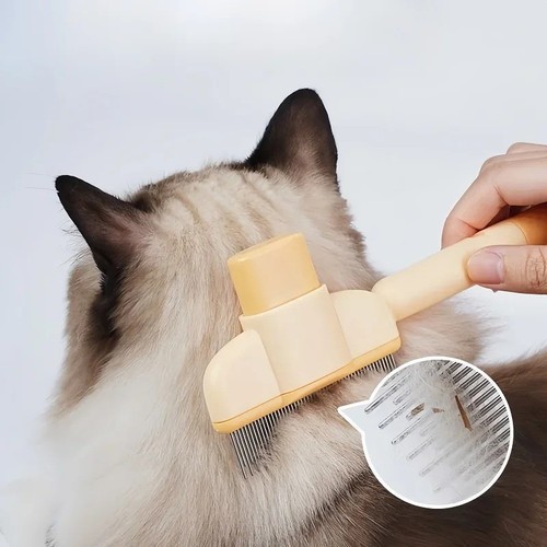 Dog cat grooming - grooming, pet